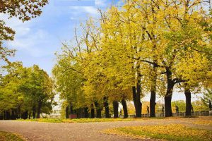 Xao xuyến mùa thu nước Nga tháng 10